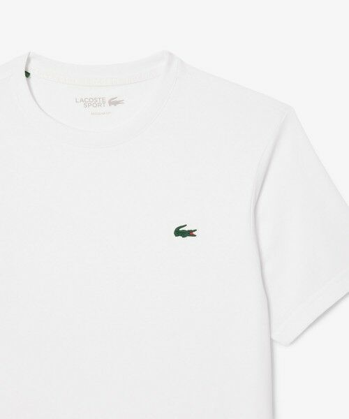 LACOSTE / ラコステ Tシャツ | 2025マイアミオープンバックプリントTシャツ | 詳細5