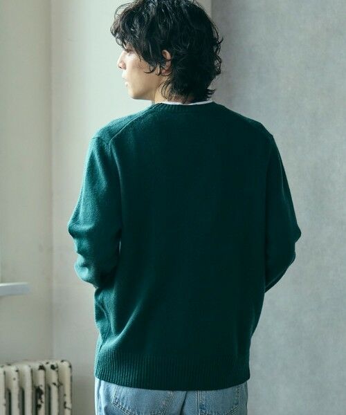 LACOSTE / ラコステ ニット・セーター | エッセンシャルウールニットセーター | 詳細16