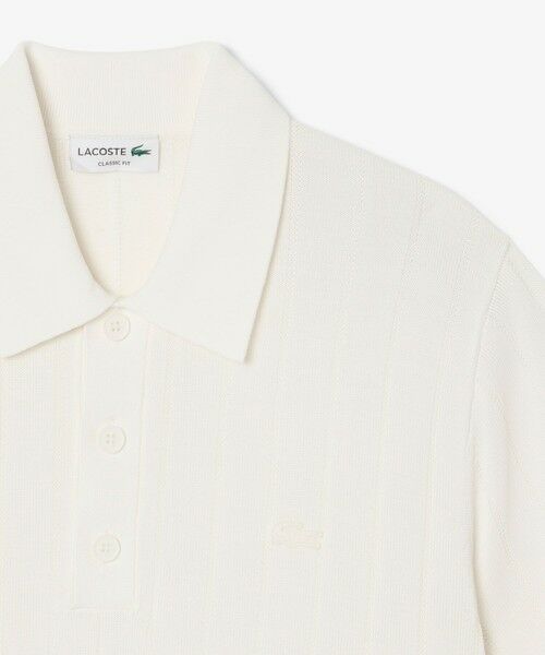 LACOSTE / ラコステ ニット・セーター | ハイゲージリブニットポロシャツ | 詳細4