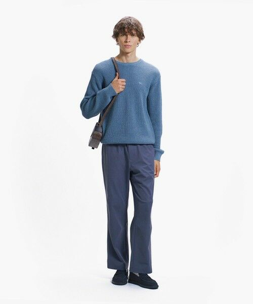 LACOSTE / ラコステ ニット・セーター | ワッフルニットセーター | 詳細28