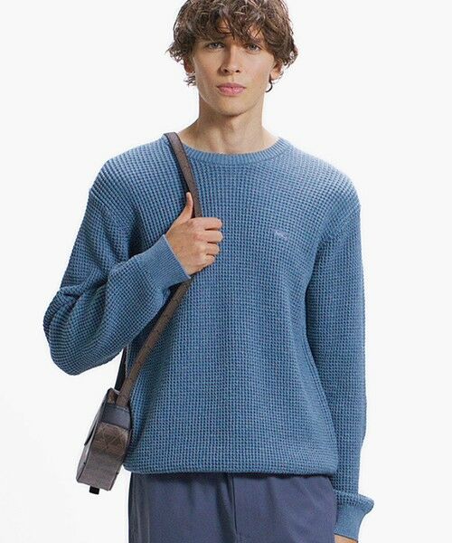LACOSTE / ラコステ ニット・セーター | ワッフルニットセーター(ライトブルー)