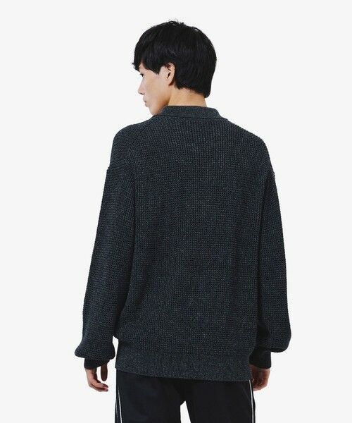 LACOSTE / ラコステ ニット・セーター | ワッフルニットポロセーター | 詳細1