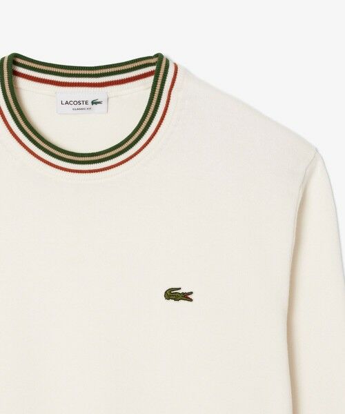 LACOSTE / ラコステ ニット・セーター | ボーダーリブプルオーバーニット | 詳細9
