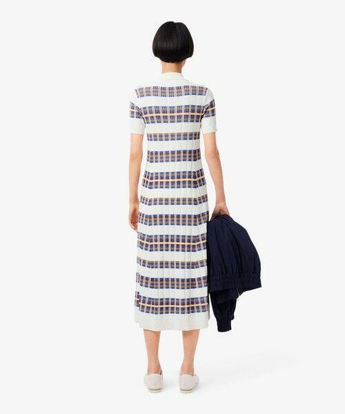 LACOSTE / ラコステ ミニ丈・ひざ丈ワンピース | リブニットマルチカラーシャツドレス | 詳細2