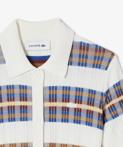 LACOSTE / ラコステ ミニ丈・ひざ丈ワンピース | リブニットマルチカラーシャツドレス | 詳細4