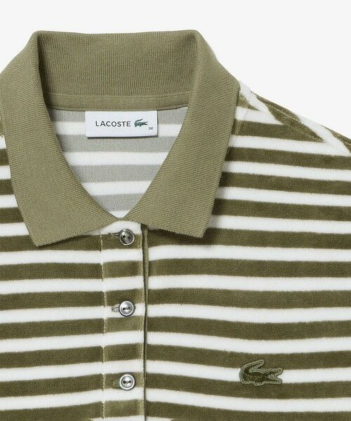 LACOSTE / ラコステ ポロシャツ | ベロアボーダー半袖ポロシャツ | 詳細17