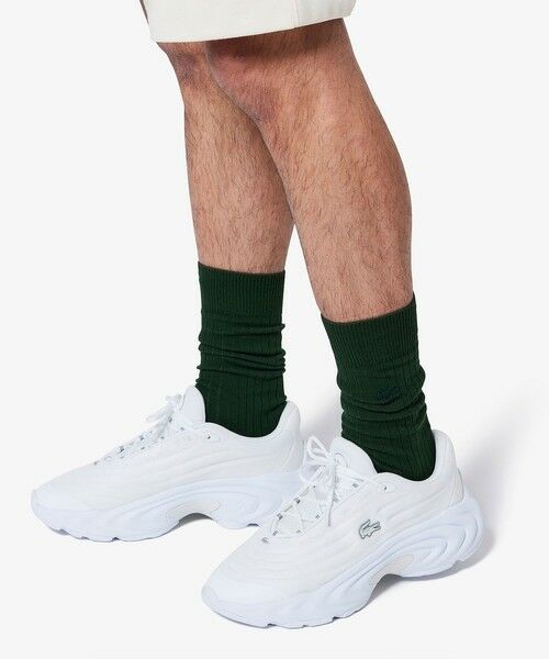 LACOSTE / ラコステ ソックス | リブクルーソックス | 詳細2