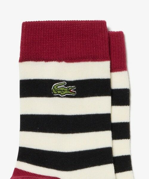 LACOSTE / ラコステ ソックス | 配色切り替えボーダークルーソックス | 詳細4
