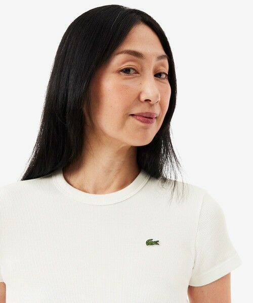 LACOSTE / ラコステ シャツ・ブラウス | タイトフィットリブニットTシャツ | 詳細6