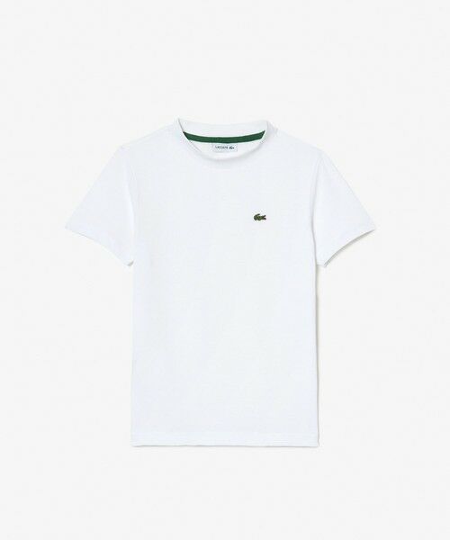 LACOSTE / ラコステ Tシャツ | 【EC only】JUNIORベーシックワニロゴパッチTシャツ | 詳細3