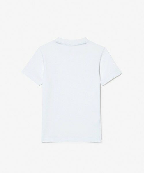 LACOSTE / ラコステ Tシャツ | 【EC only】JUNIORベーシックワニロゴパッチTシャツ | 詳細4