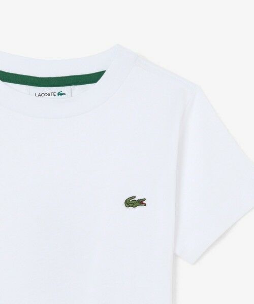 LACOSTE / ラコステ Tシャツ | 【EC only】JUNIORベーシックワニロゴパッチTシャツ | 詳細5