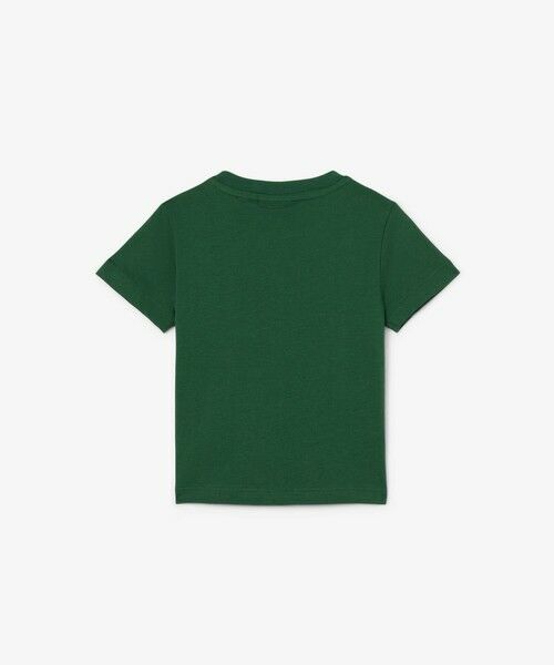 LACOSTE / ラコステ Tシャツ | 【EC only】JUNIORベーシックワニロゴパッチTシャツ | 詳細13
