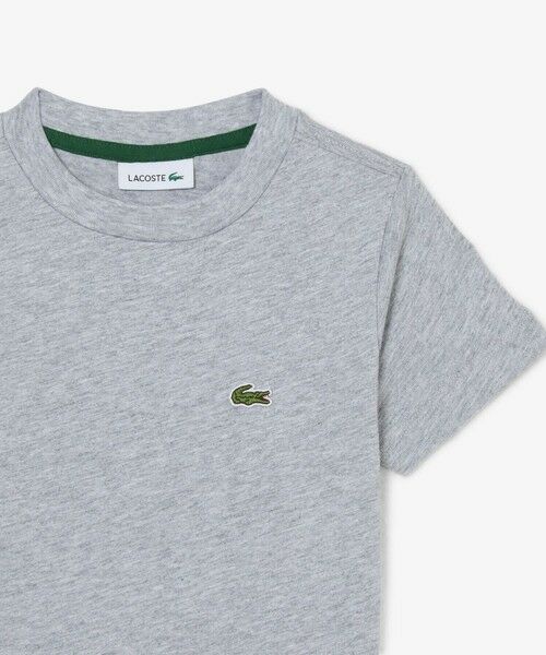 LACOSTE / ラコステ Tシャツ | 【EC only】JUNIORベーシックワニロゴパッチTシャツ | 詳細16
