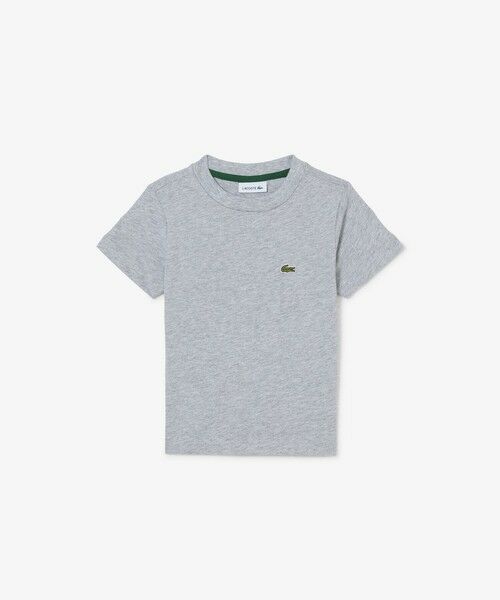 LACOSTE / ラコステ Tシャツ | 【EC only】JUNIORベーシックワニロゴパッチTシャツ（グレー）