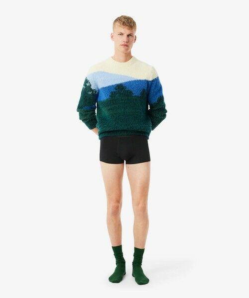 LACOSTE / ラコステ ボクサーパンツ・ブリーフ | ワニロゴジャカード3パックストレッチコットントランクショーツセット | 詳細6