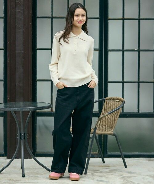 LACOSTE / ラコステ ニット・セーター | 3Dニッティングハーフボタンハイネック ウールニットポロセーター | 詳細11