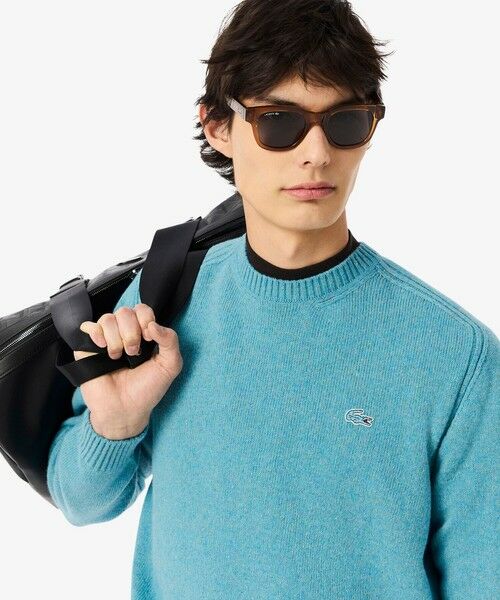 LACOSTE / ラコステ ニット・セーター | スリーブライン3Dニットセーター | 詳細1