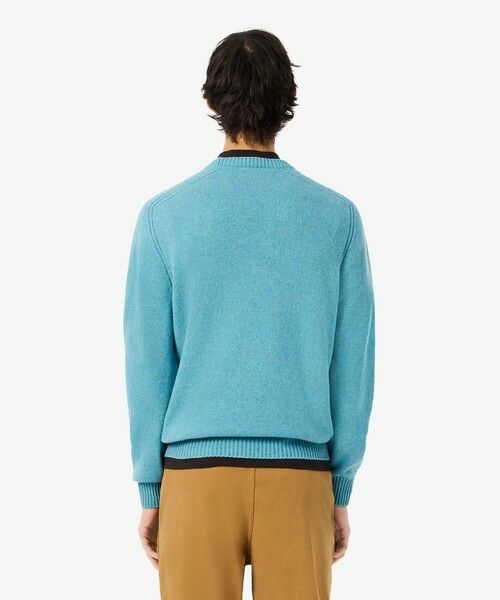 LACOSTE / ラコステ ニット・セーター | スリーブライン3Dニットセーター | 詳細2