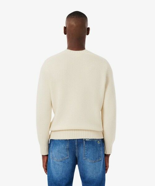 LACOSTE / ラコステ ニット・セーター | ブランドネームロゴシャギーニッティングセーター | 詳細2