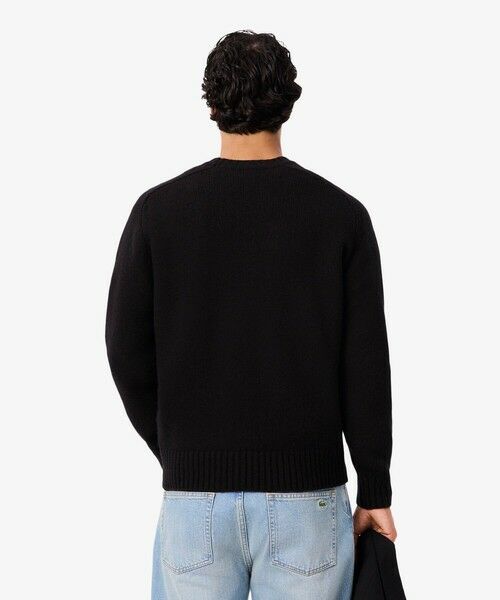 LACOSTE / ラコステ ニット・セーター | ブランドネームロゴシャギーニッティングセーター | 詳細8