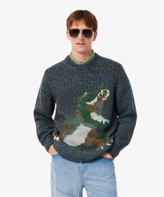 LACOSTE / ラコステ ニット・セーター | ワニニッティングヘビーウェイトセーター