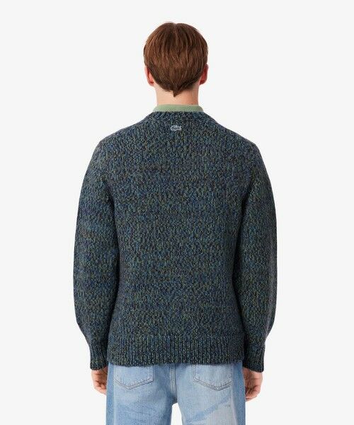 LACOSTE / ラコステ ニット・セーター | ワニニッティングヘビーウェイトセーター | 詳細2