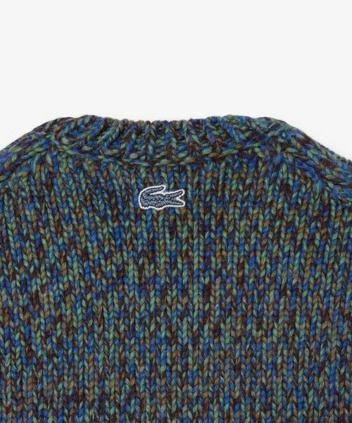LACOSTE / ラコステ ニット・セーター | ワニニッティングヘビーウェイトセーター | 詳細5