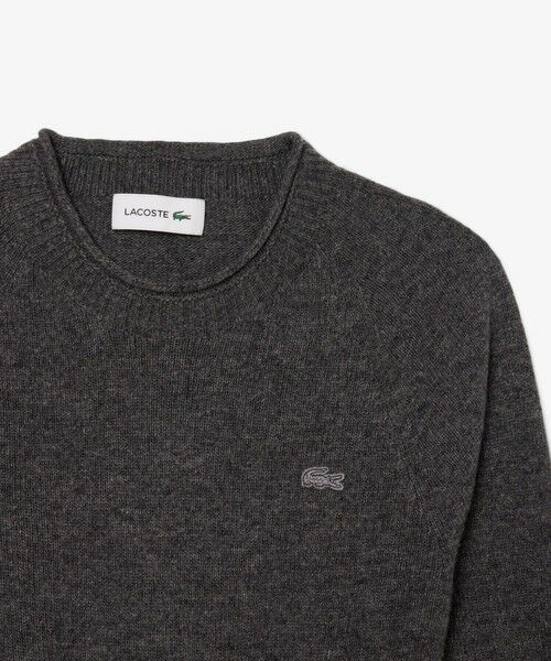 LACOSTE / ラコステ ミニ丈・ひざ丈ワンピース | 3Dニッティングシームレスフレアドレスセーター | 詳細17