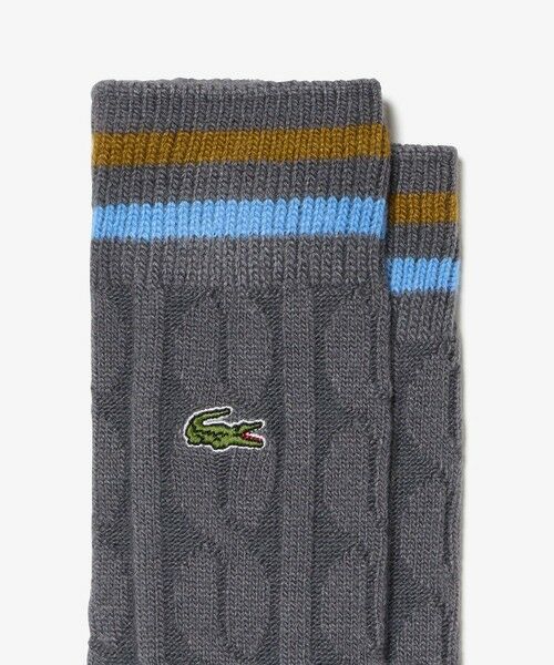 LACOSTE / ラコステ ソックス | ケーブルニットボーダーソックス | 詳細5