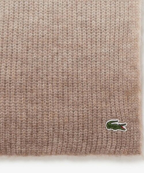 LACOSTE / ラコステ マフラー・ショール・スヌード・ストール | アルパカブレンドグラデーションニットマフラー | 詳細3