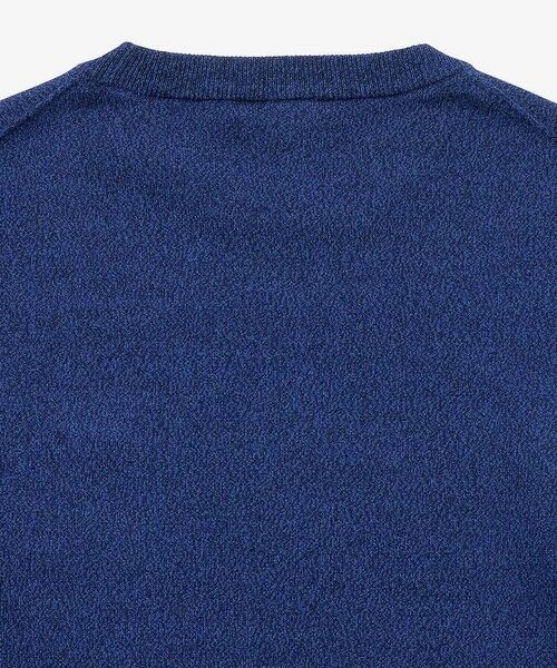 LACOSTE / ラコステ Tシャツ | サスティナブルニットTシャツ | 詳細17