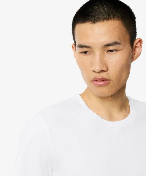 LACOSTE / ラコステ Tシャツ | 【EC only】エッセンシャル クルーネックTシャツ 3Pセット | 詳細2