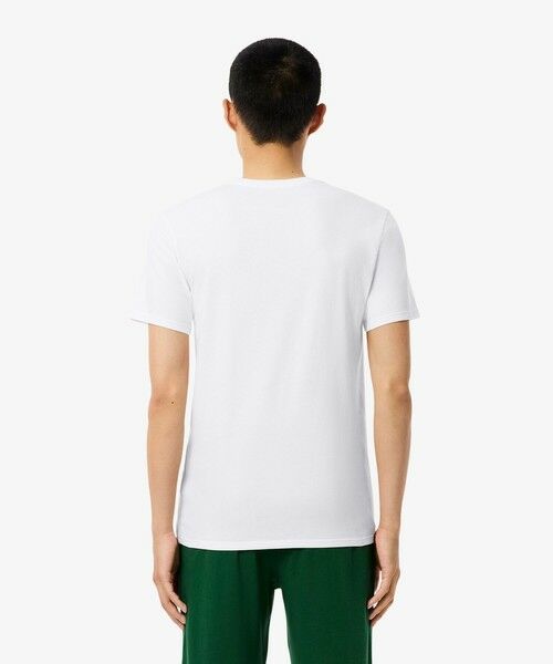 LACOSTE / ラコステ Tシャツ | 【EC only】エッセンシャル クルーネックTシャツ 3Pセット | 詳細3