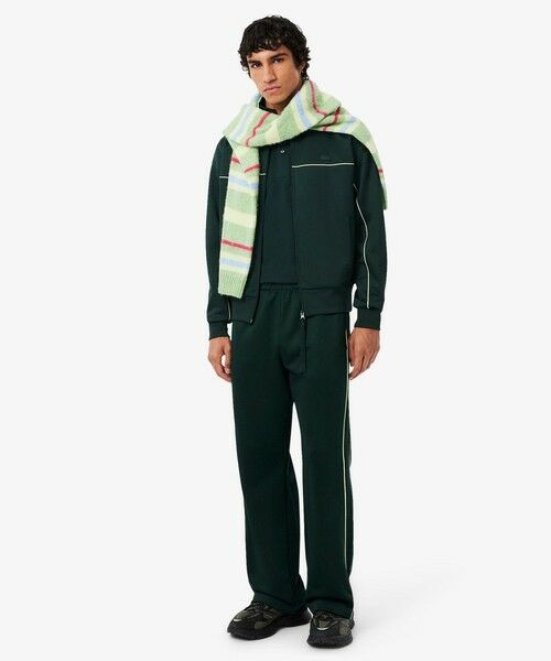 LACOSTE / ラコステ ポロシャツ | ランドスケープワニロゴポロシャツ | 詳細4