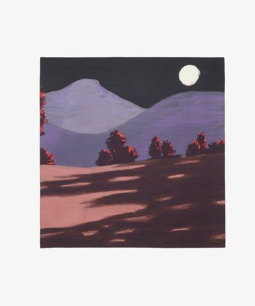 LACOSTE / ラコステ マフラー・ショール・スヌード・ストール | ランドスケーププリントスカーフ | 詳細5