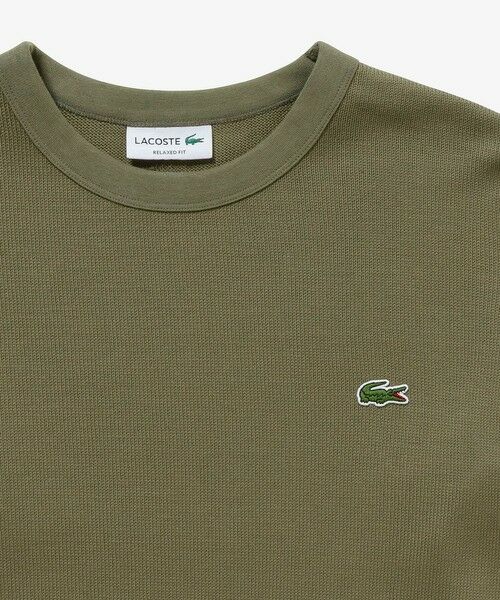 LACOSTE / ラコステ Tシャツ | ヘビーウェイトシングルジャージ長袖Tシャツ | 詳細15