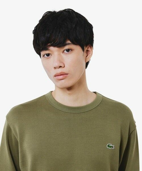LACOSTE / ラコステ Tシャツ | ヘビーウェイトシングルジャージ長袖Tシャツ | 詳細9