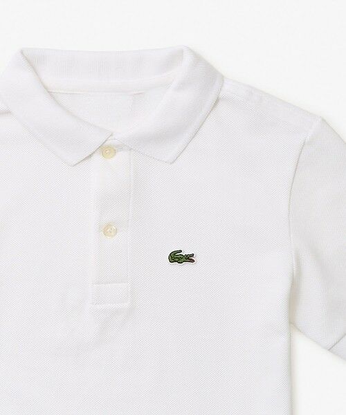 LACOSTE / ラコステ ポロシャツ | 【EC only】Boys ポロシャツ (半袖) | 詳細2