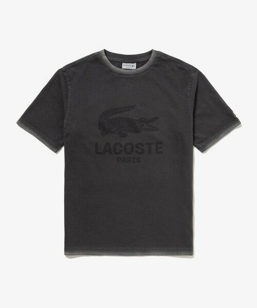 LACOSTE / ラコステ Tシャツ | ヴィンテージエフェクト ロゴTシャツ | 詳細15