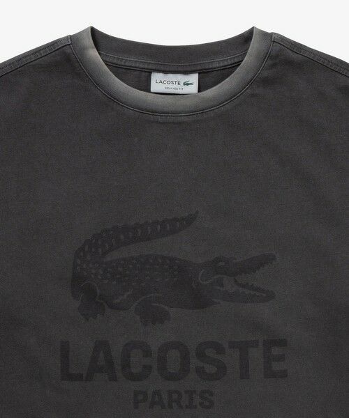 LACOSTE / ラコステ Tシャツ | ヴィンテージエフェクト ロゴTシャツ | 詳細17
