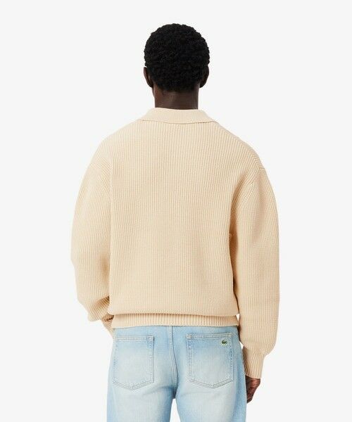 LACOSTE / ラコステ ニット・セーター | ダイヤロゴパッチポロカラーニットセーター | 詳細2