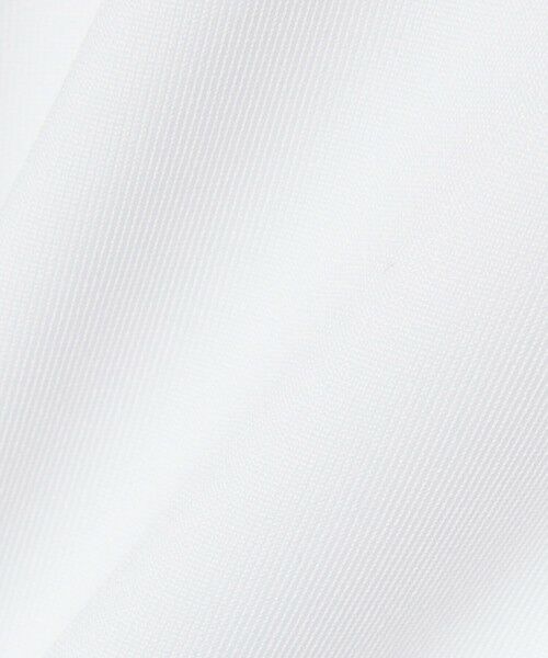 LACOSTE / ラコステ ポロシャツ | エッセンシャルウルトラドライゴルフポロシャツ | 詳細5