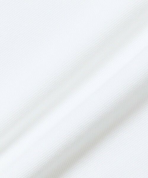 LACOSTE / ラコステ ポロシャツ | 鹿の子地サッカーシャツ / スキッパーネックポロ | 詳細1