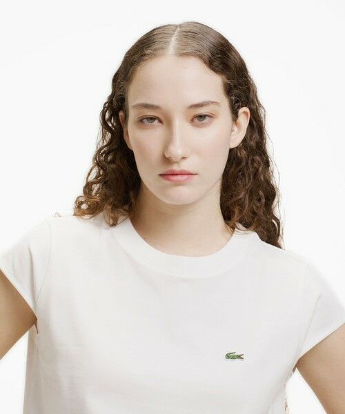 LACOSTE / ラコステ Tシャツ | フレンチスリーブTシャツ | 詳細6
