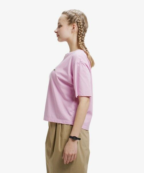 LACOSTE / ラコステ Tシャツ | ピグメントダイTシャツ | 詳細13