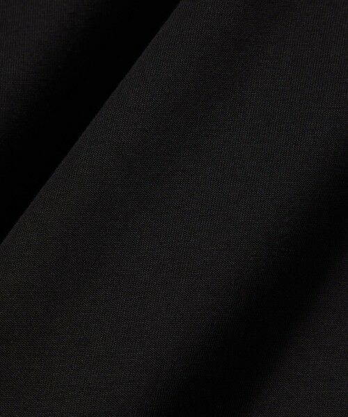 LACOSTE / ラコステ Tシャツ | ネーム＆ワニロゴパッチ エッセンシャルTシャツ | 詳細5