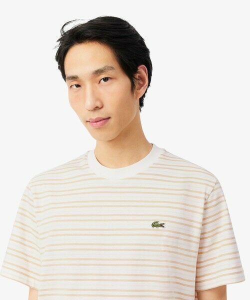 LACOSTE / ラコステ Tシャツ | ボーダーコットンTシャツ | 詳細1