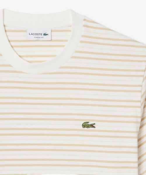 LACOSTE / ラコステ Tシャツ | ボーダーコットンTシャツ | 詳細4