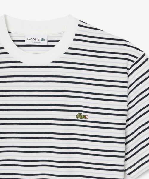 LACOSTE / ラコステ Tシャツ | ボーダーコットンTシャツ | 詳細10